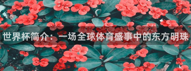 2026足球世界杯赛程时间表：世界杯简介：一场全球体育盛事中的东方明珠