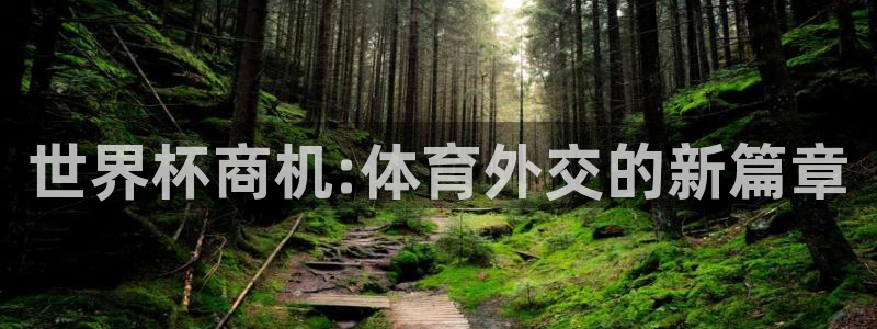 足球世界杯预选赛：世界杯商机:体育外交的新篇章