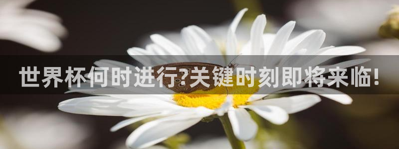 世界杯直播观看：世界杯何时进行?关键时刻即将来临!
