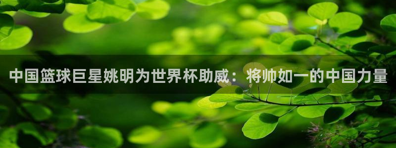 世界杯2026赛程表：中国篮球巨星姚明为世界杯助威：将帅如一的中国力量