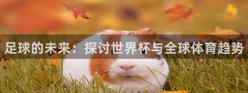 世界杯足球赛：足球的未来：探讨世界杯与全球体育趋势