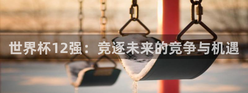 2026世界杯亚洲预选赛：世界杯12强：竞逐未来的竞争与机遇