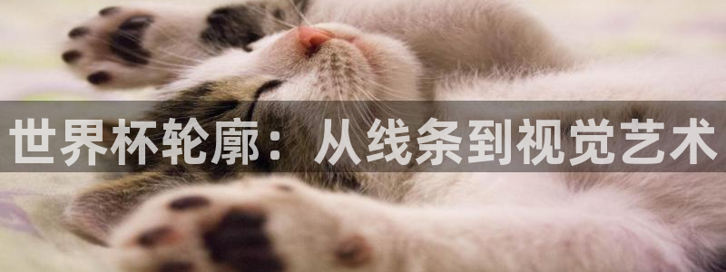女足世界杯赛程：世界杯轮廓：从线条到视觉艺术
