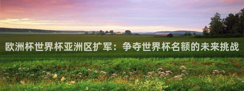 世界杯欧洲区预选赛：欧洲杯世界杯亚洲区扩军：争夺世界杯名额的未来挑战