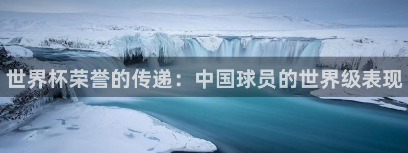 欧洲世界杯预选赛赛程：世界杯荣誉的传递：中国球员的世界级表现