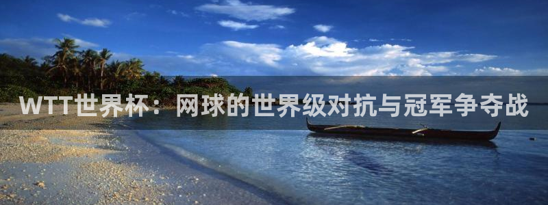 世界杯 直播：WTT世界杯：网球的世界级对抗与冠军争夺战