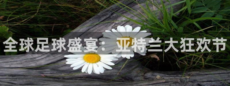 足球世界杯2026：全球足球盛宴：亚特兰大狂欢节