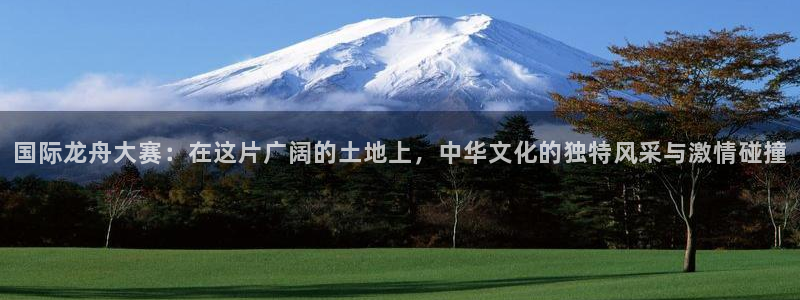 2006年世界杯冠军：国际龙舟大赛：在这片广阔的土地上，中华文化的独特风采与激情碰撞