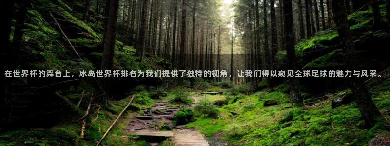 中国 世界杯：在世界杯的舞台上，冰岛世界杯排名为我们提供了独特的视角，让我们得以窥见全球足球的魅力与风采。